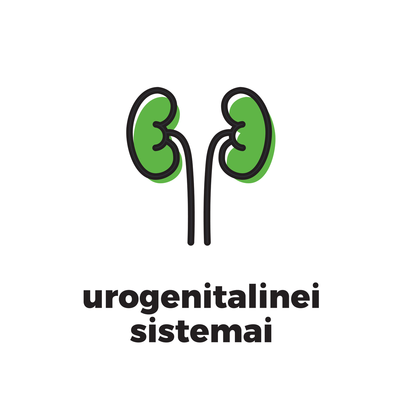 Urogenitalinei sistemai