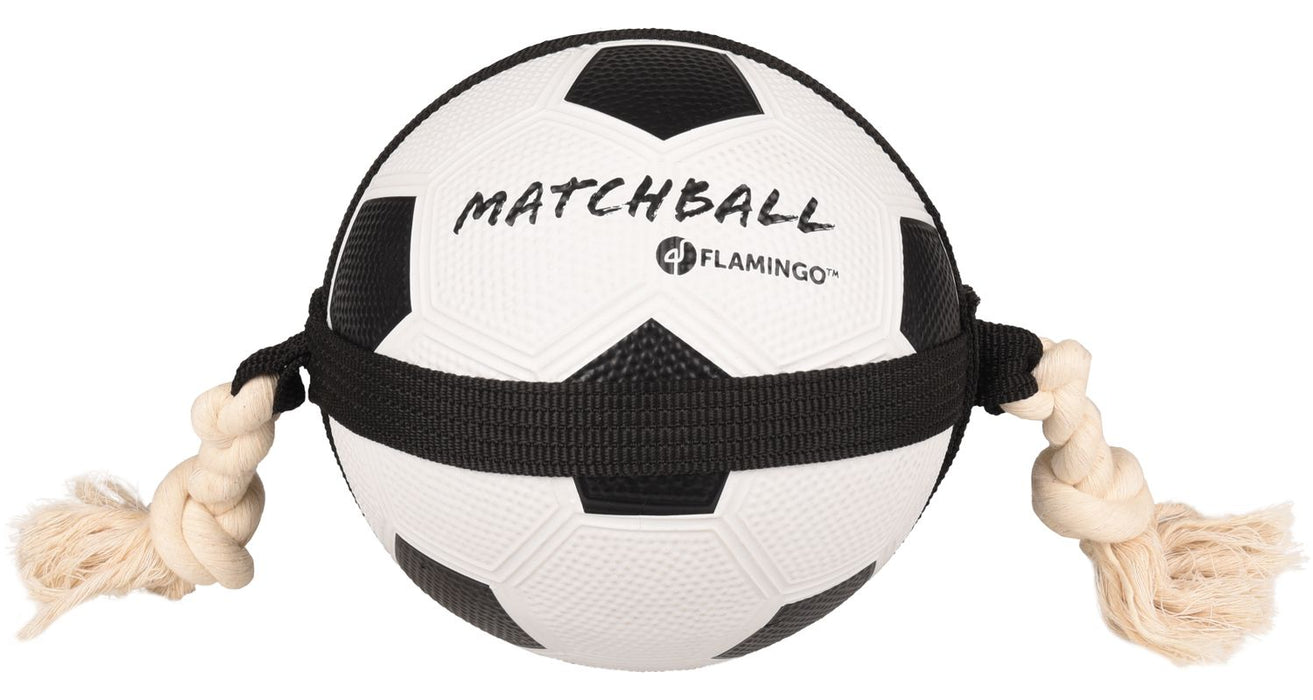 Futbolo kamuolys su rankenomis