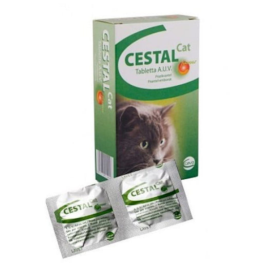 Cestal cat 80 mg