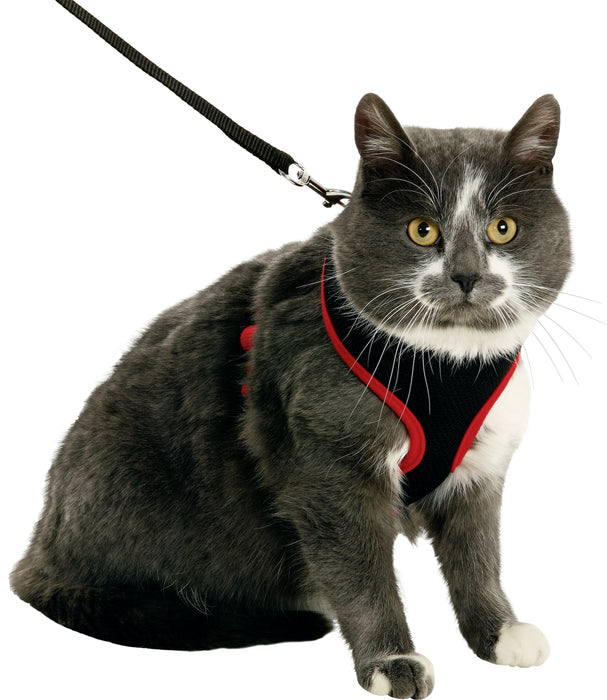 Plačios petnešos HARMS katėms