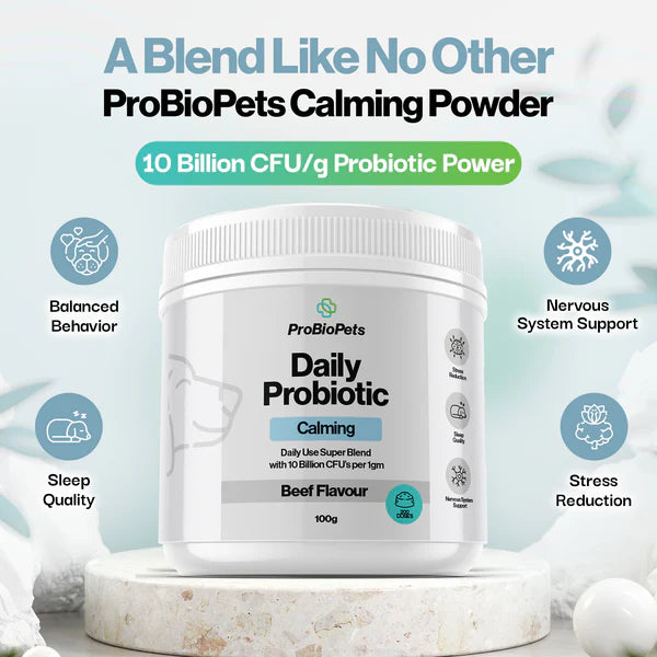 OURDOGSLIFE Super Probiotic Calming 100g milteliai