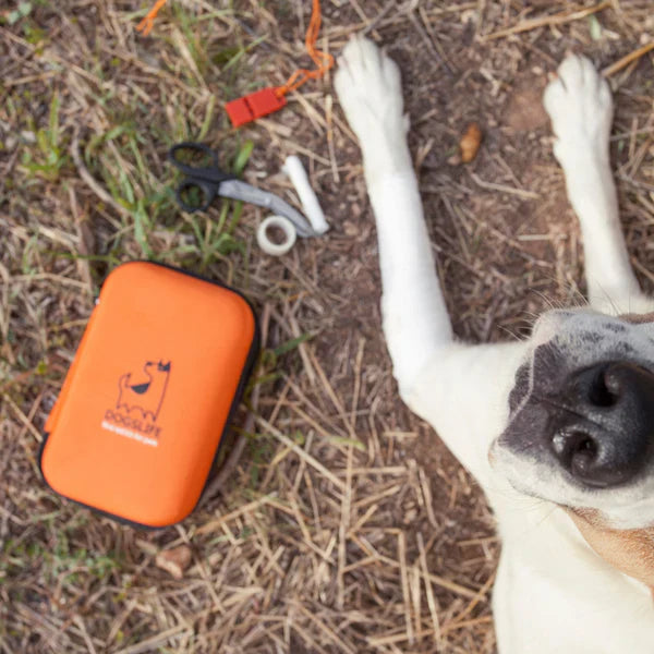 OURDOGSLIFE pirmos pagalbos rinkinys