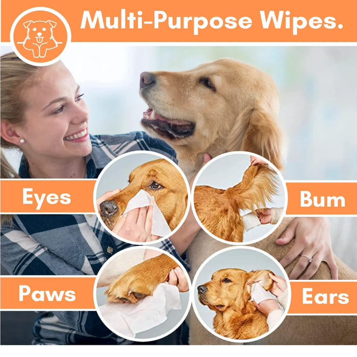 OURDOGSLIFE  Dog WIPES N100 - be kvapo servetėlės visam kūnui