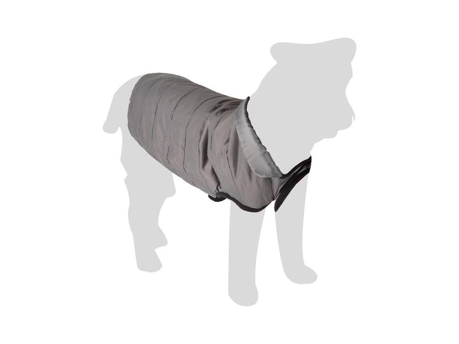 Liemenė šuniui Eden, pilka