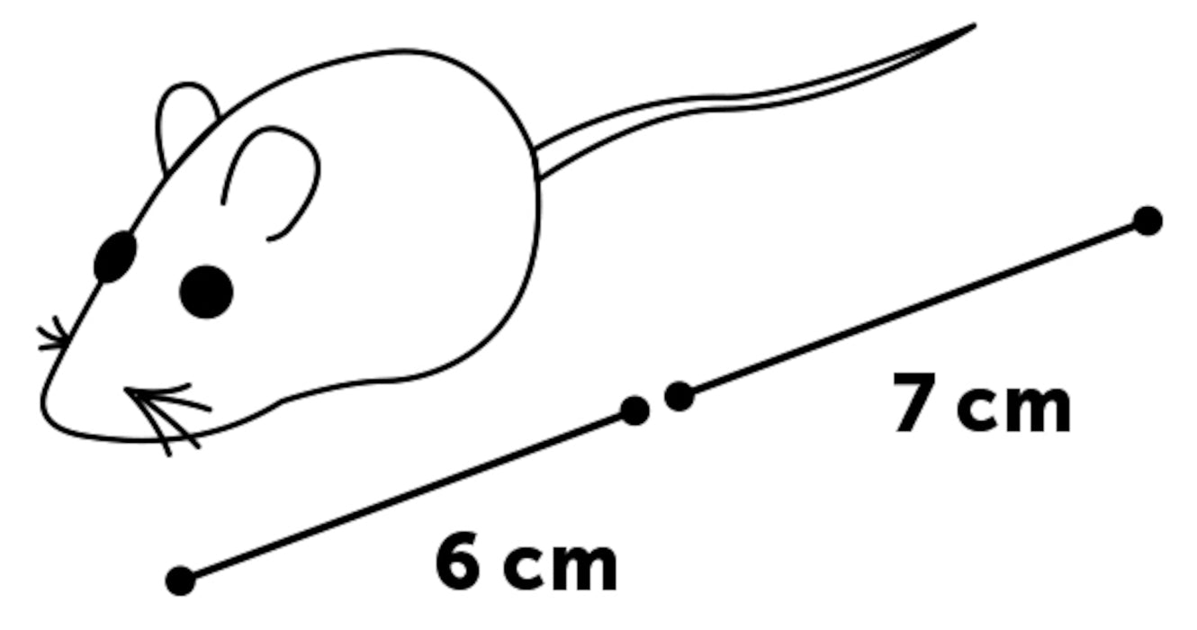 Pelė Cypianti 6cm