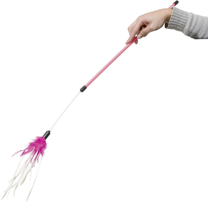 Plunksnos ant koto Rumba 75cm
