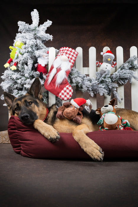 Kalėdinis pliušinis žaislas - Briedis, 41cm