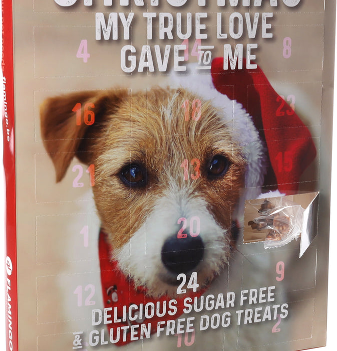 Kalėdinis kalendorius  šunims - 295 g