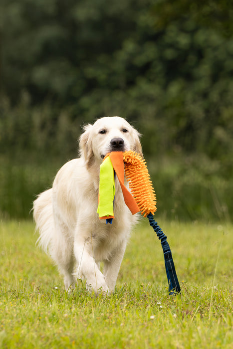 Žaislas- tampyti Pliušinis ant juostos