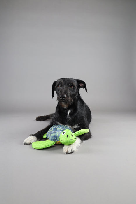 Žaislas šunims vėžlys SIWIU neskęstantis vandenyje