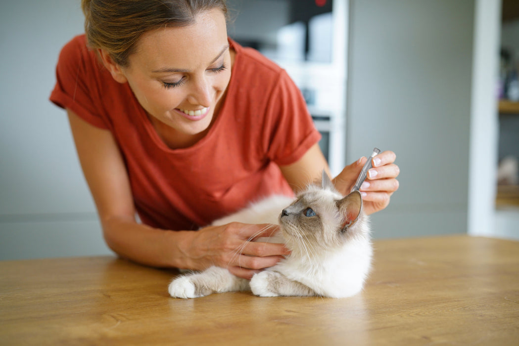 Pincetas Erkei Ištraukti