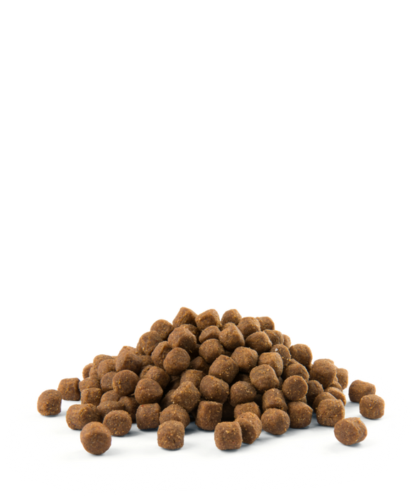 Opti Life Puppy Digestion su ėriena ir ryžiais