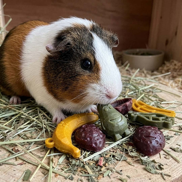 Garden Bites minkšti užkandžiai graužikams, įvairiaspalviai