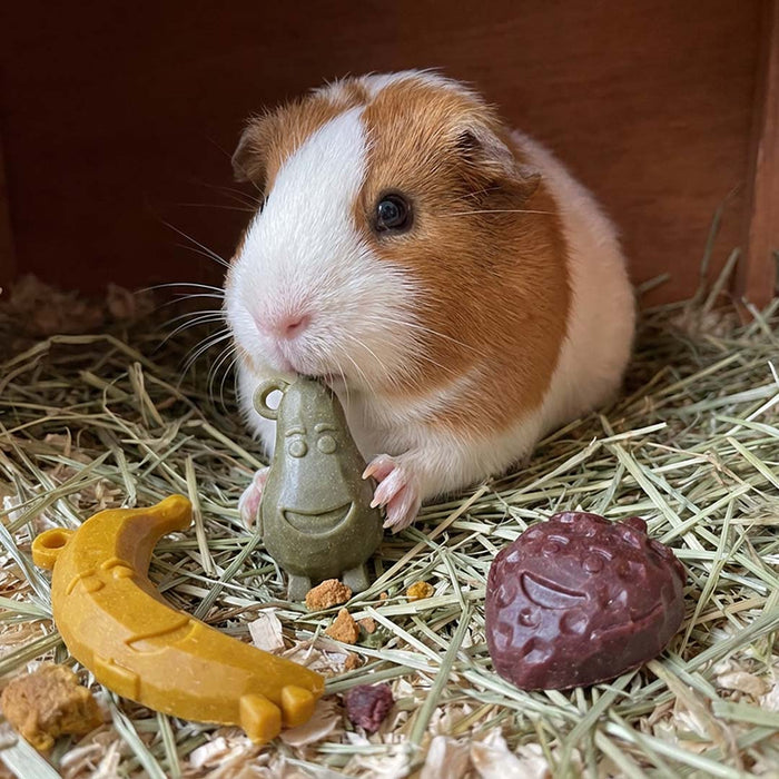 Garden Bites minkšti užkandžiai graužikams, įvairiaspalviai