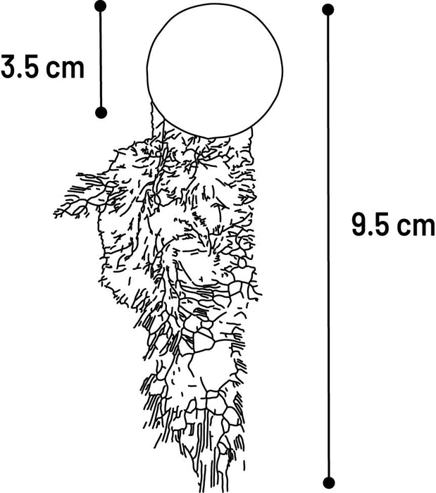 Žaislas KATTI katžolės kamuoliukai su plunksnomis, žalias N2