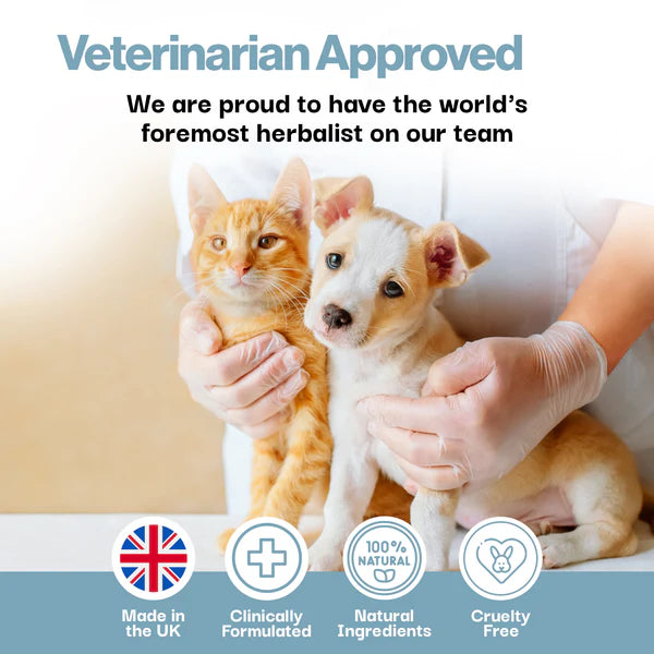 OURDOGSLIFE Super Probiotic Calming 100g milteliai