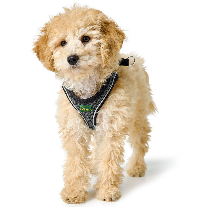 Petnešos Hilo Comfort, antracito spalvos