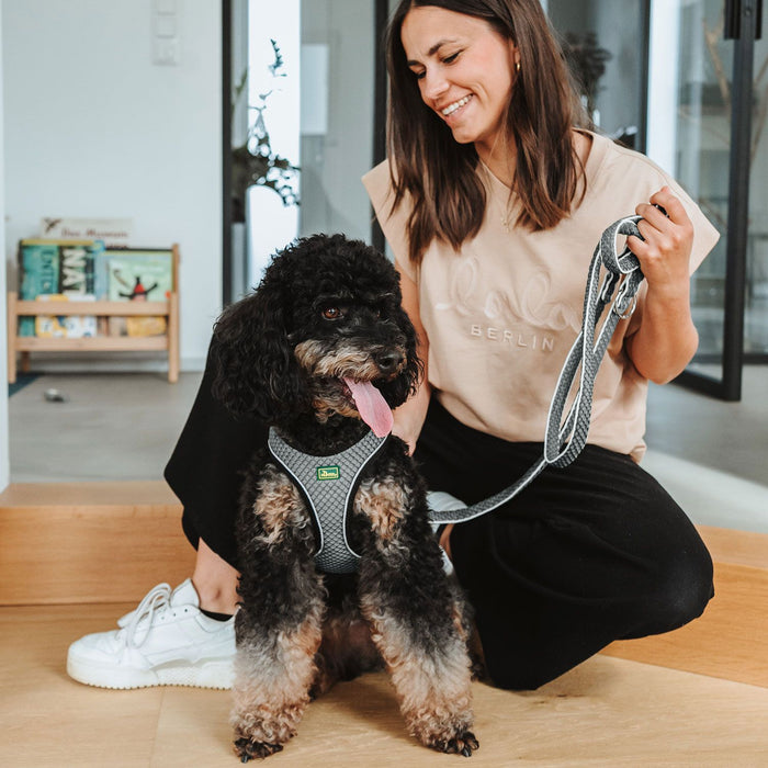 Petnešos Hilo Comfort, antracito spalvos