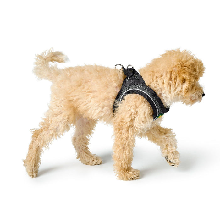 Petnešos Hilo Comfort, antracito spalvos