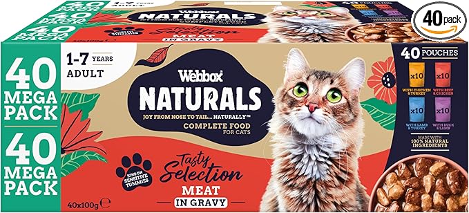 WBX Natural Cat meat gravy katėms  Mega pack N40x 100g