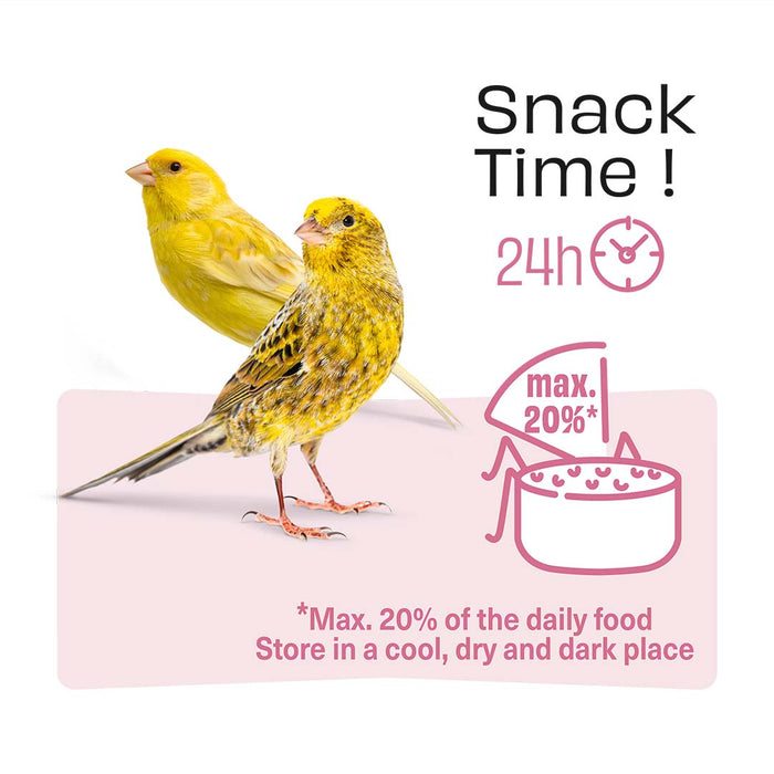 WM Pauze gardėsis kanarėlėm šeivamedžis/chia sėklos 60g,  N2