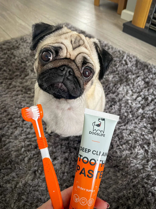 OURDOGSLIFE DENTAL CARE KIT - rinkinys dantų priežiūrai šunims – dantų šepetėlis  ir pasta