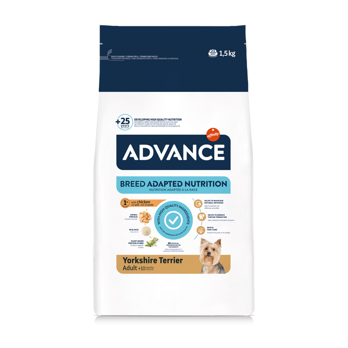 Advance Yorkshire Terrier