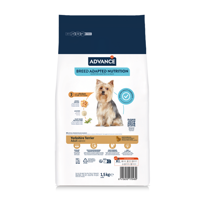 Advance Yorkshire Terrier