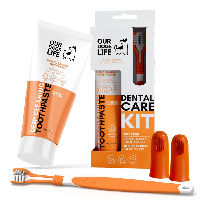 OURDOGSLIFE DENTAL CARE KIT - rinkinys dantų priežiūrai šunims – dantų šepetėlis  ir pasta