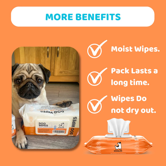 OURDOGSLIFE  Dog WIPES N100 - servetėlės visam kūnui pudros kvapo