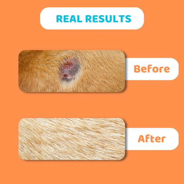 OURDOGSLIFE Itch relief Skin BALM, raminantis balzamas, 60 ml