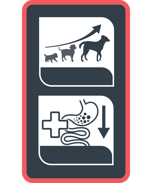 Opti Life Puppy Digestion su ėriena ir ryžiais