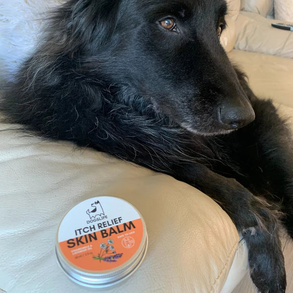 OURDOGSLIFE Itch relief Skin BALM, raminantis balzamas, 60 ml