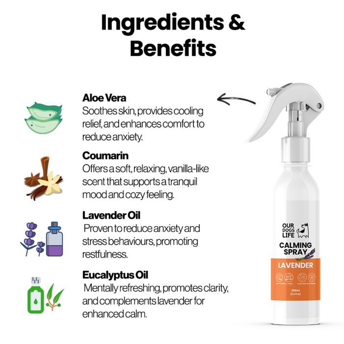 OURDOGSLIFE Calming spray lavander -raminančio poveikio purškalas, 250 ml
