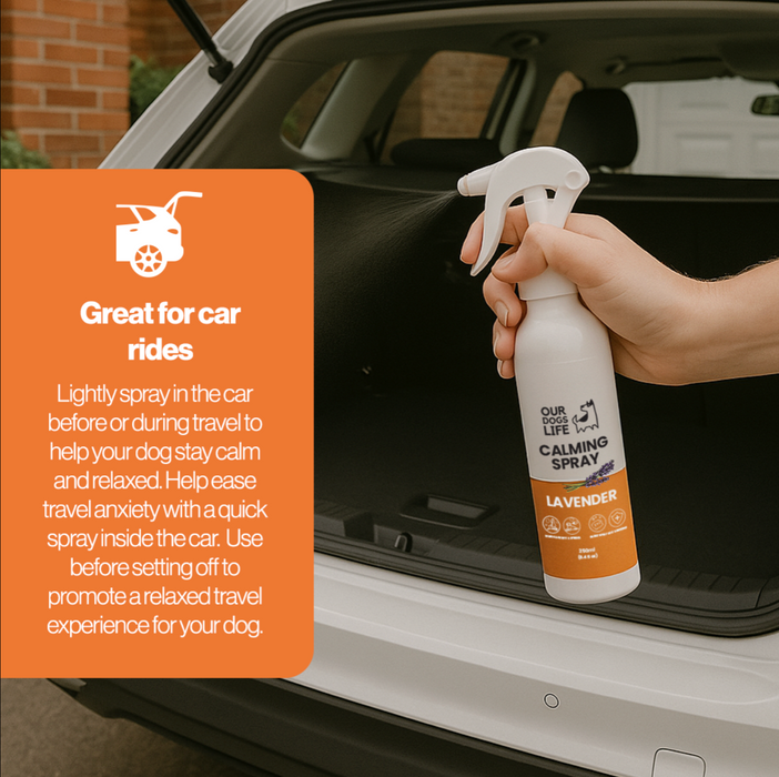 OURDOGSLIFE Calming spray lavander -raminančio poveikio purškalas, 250 ml