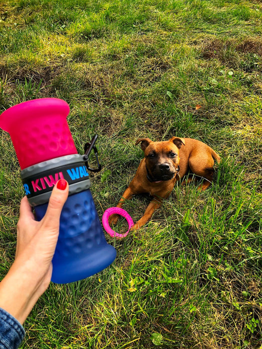 KIWI Walker Gertuvė/dėtuvė maistui kelioninė šunims, Mėlyna/Rožinė