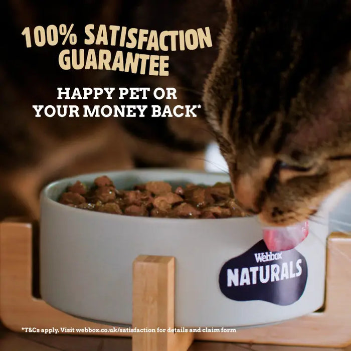WBX Natural Cat meat gravy katėms  Mega pack N40x 100g