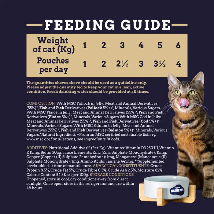 WBX Natural Cat meat gravy katėms  Mega pack N40x 100g