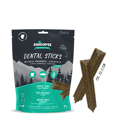 CHICOPEE Dental Sticks 300g