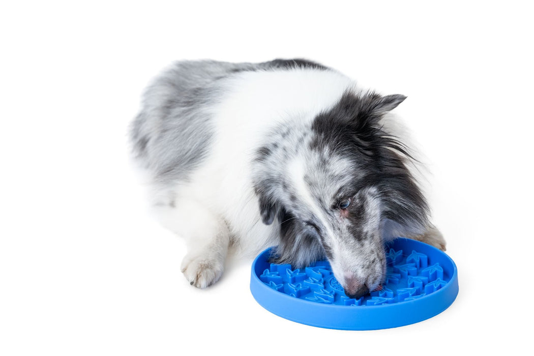 KW  Šėrimo - Laižymo kilimėlis PAW SLOW Maxi