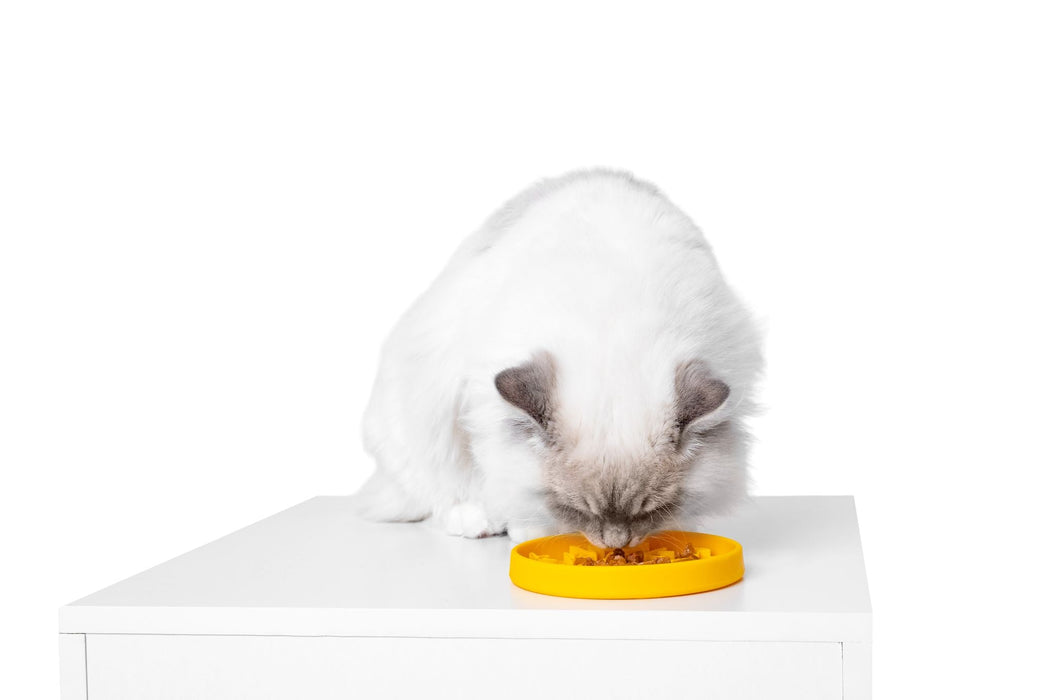 KW  Šėrimo - Laižymo kilimėlis PAW SLOW Mini