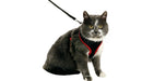Petnešos plačios su pavadėliu katei 110cm10mm juodos/raudonos