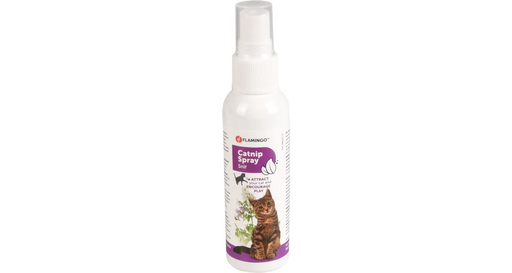 Purškalas Catnip Spray katėms 60 ml