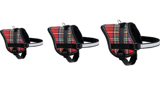 Petnešos EENY MEENY