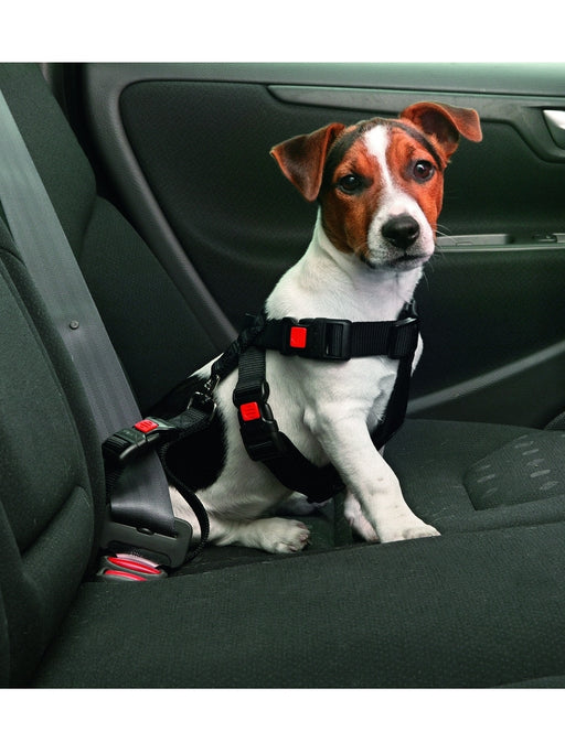 Automobilinės Saugos Petnešos šunims
